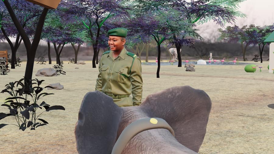A ranger beside a collared elephant